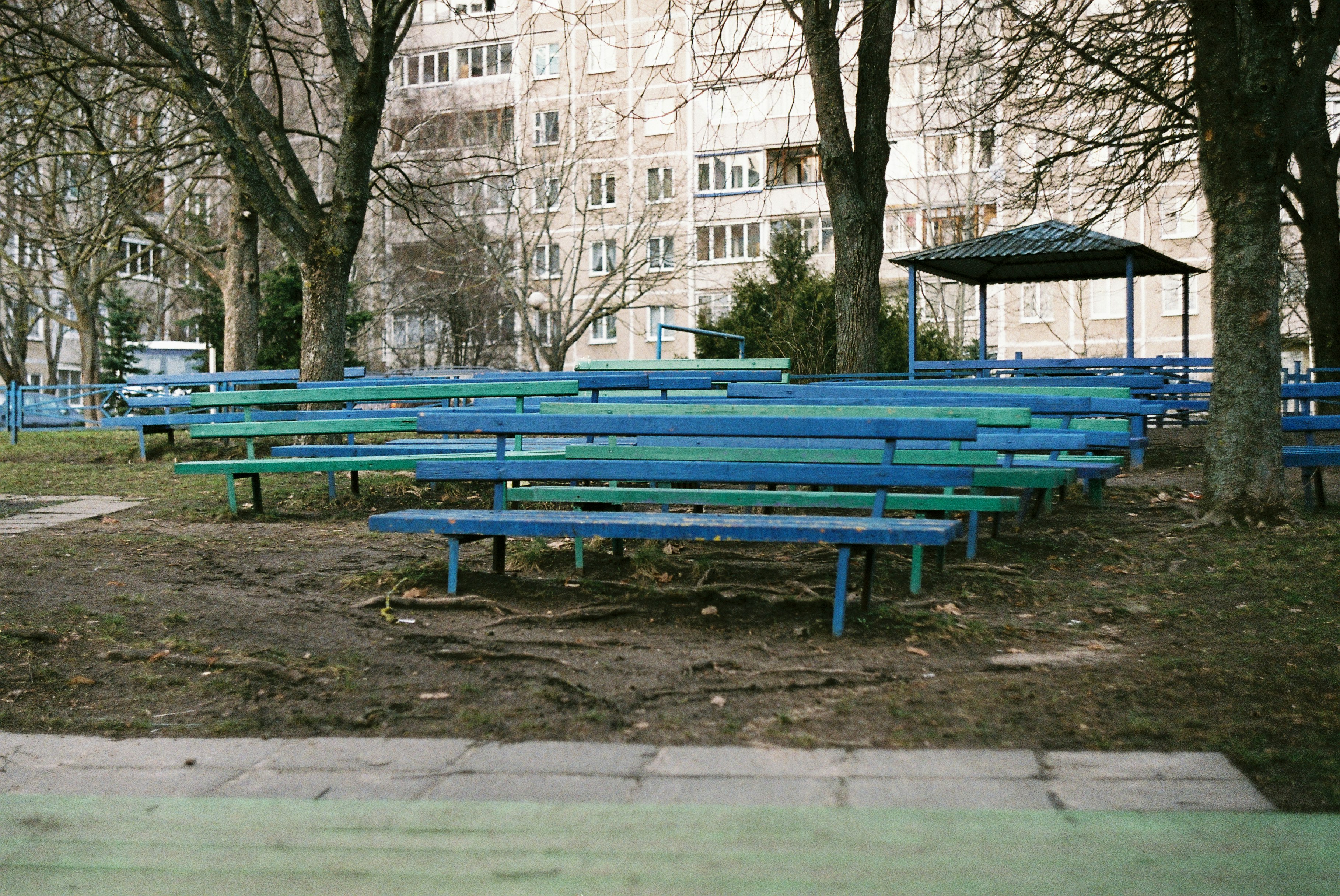 blue wooden bench near bare trees during daytime